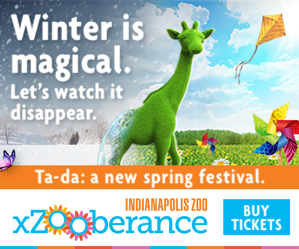 xZooberance_Digital_Moms_300x250