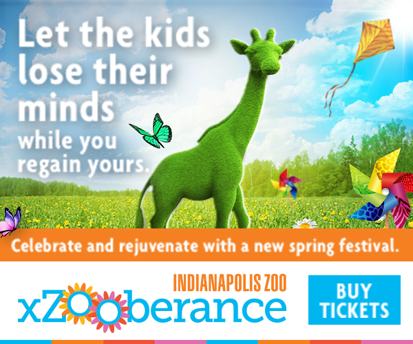 xZooberance_Digital_Moms_300x250V2